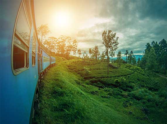 train tour sri lanka